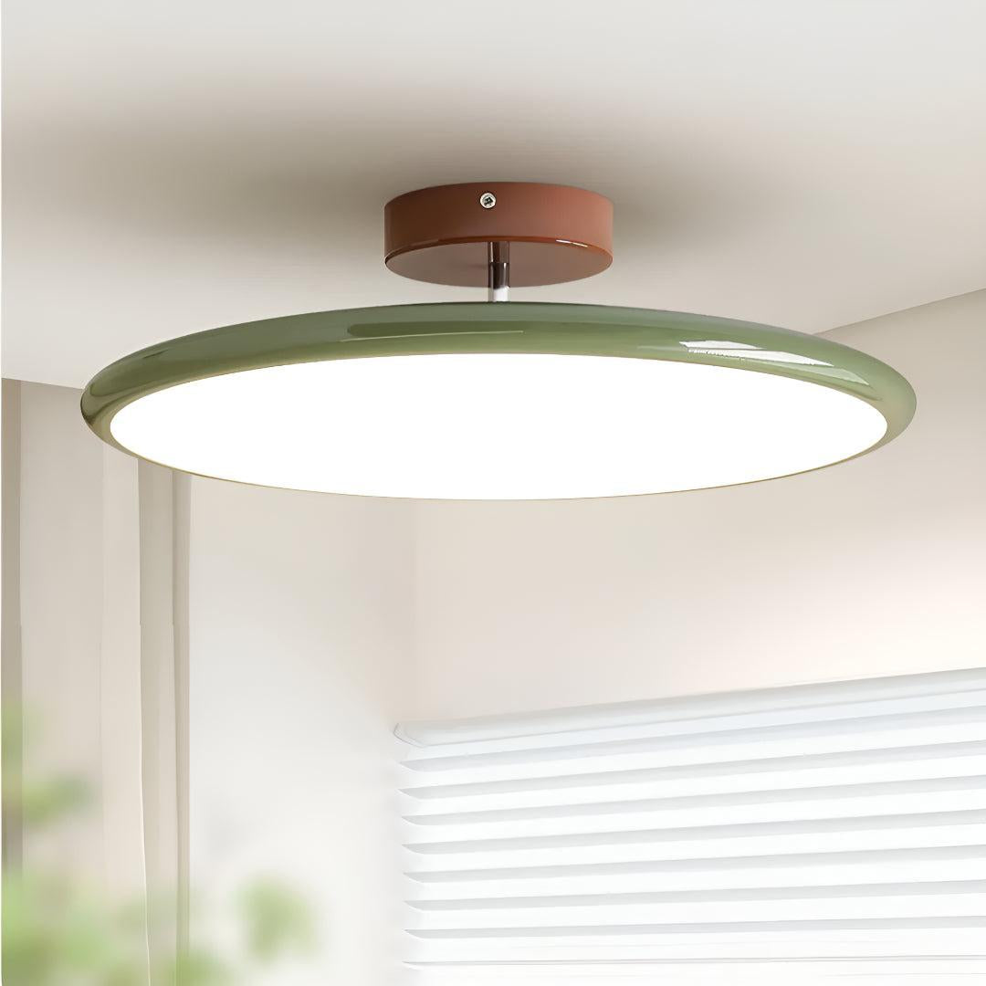 Modern Adjustable LED Flush Ceiling Light