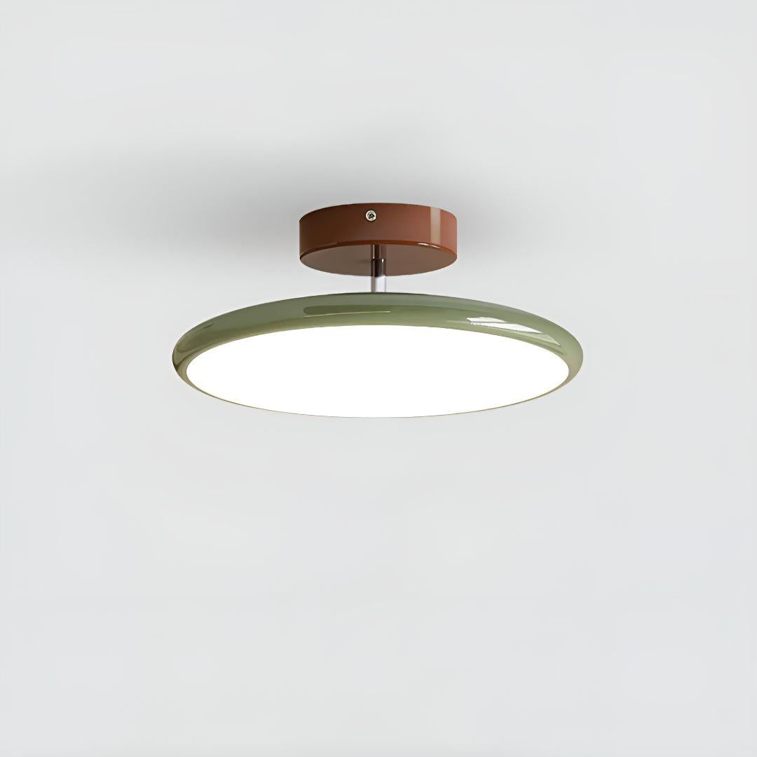 Modern Adjustable LED Flush Ceiling Light