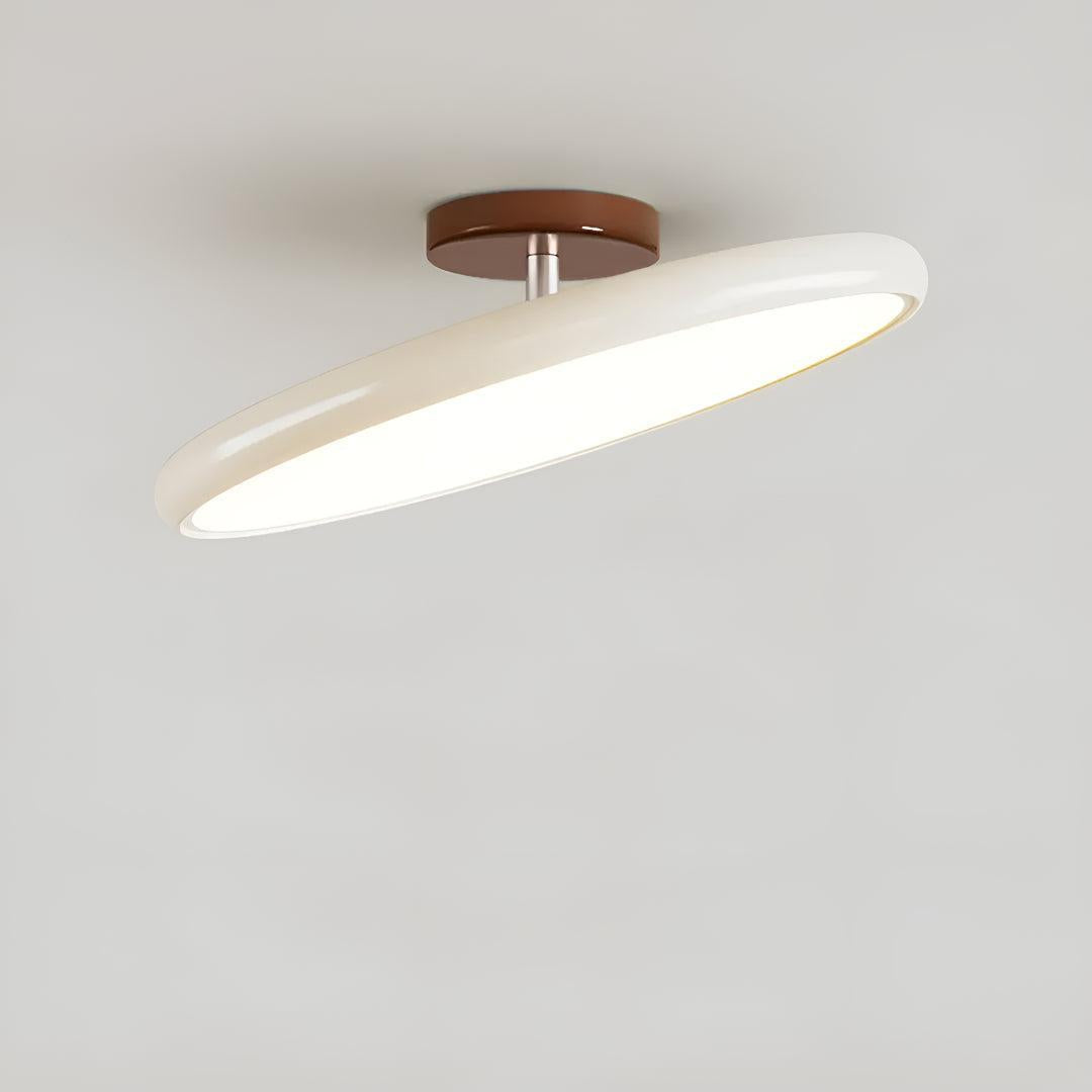 Modern Adjustable LED Flush Ceiling Light