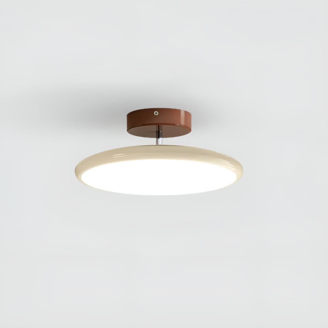 Modern Adjustable LED Flush Ceiling Light