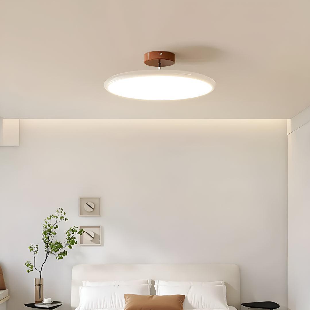 Modern Adjustable LED Flush Ceiling Light