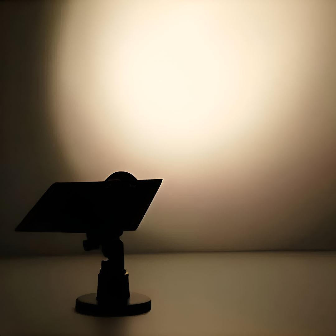 Solar Garden Spot Light for Outdoor Spaces