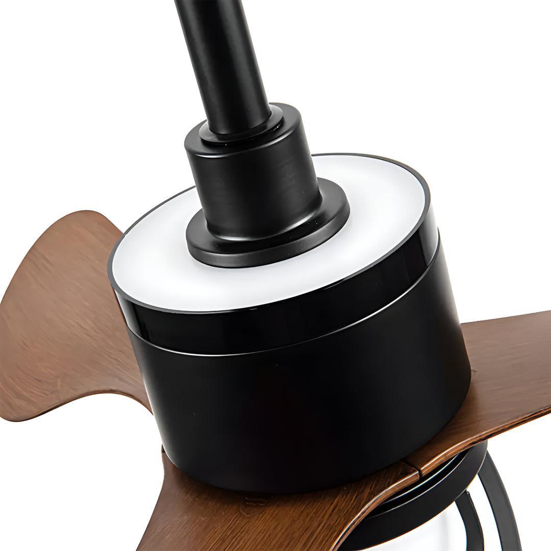 Vintage Ceiling Fan Light with Remote Control